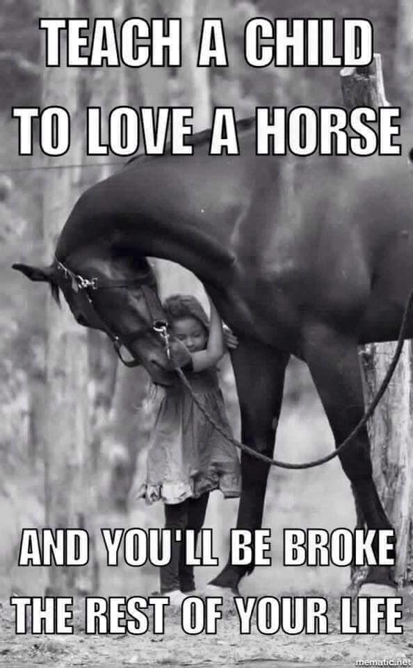 Teach A Child To Love A Horse - Horse Meme